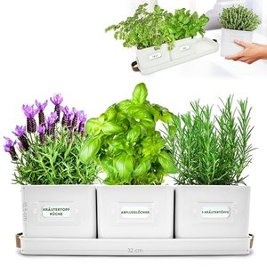 Green Thumbz Kräutertopf