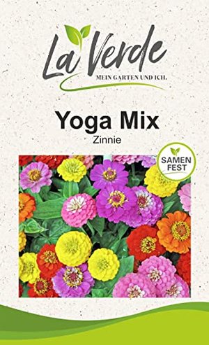 Zinnien-Samen